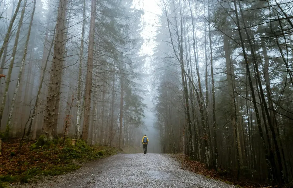 Person walking alone on a peaceful nature path