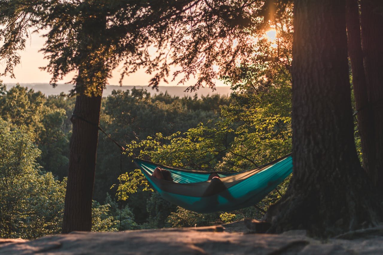 Empty hammock swaying gently between trees in soft afternoon light