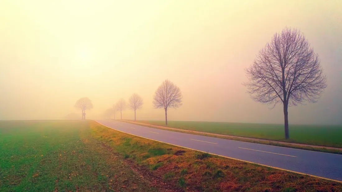 A curved road disappearing into warm golden fog through open fields